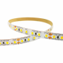 LED juosta Toronto Epistar 2835 20W 6500K IP65 by silicon 120LED/m 5m Eurolight